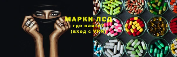 PSILOCYBIN Бородино